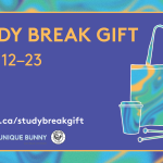 study break gift_website