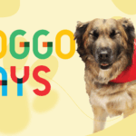 Website Banner