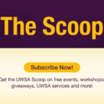 The Scoop_Website Banner